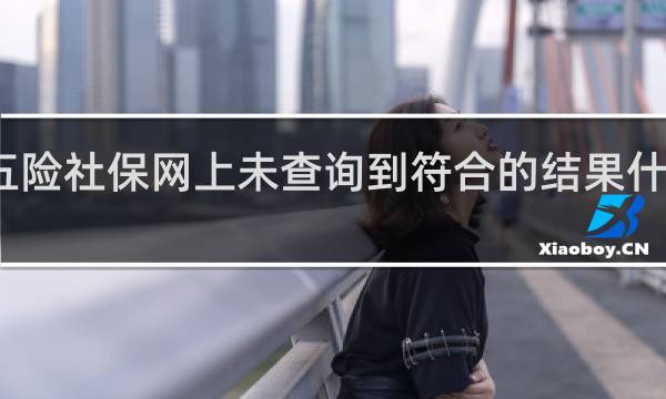 五险社保网上未查询到符合的结果什么意思