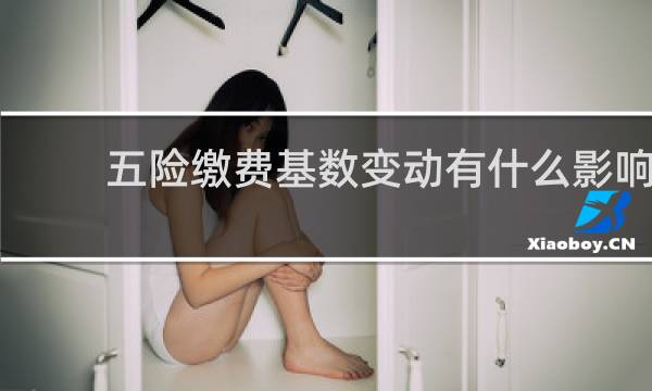 五险缴费基数变动有什么影响