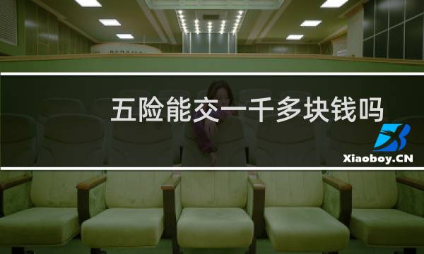 五险能交一千多块钱吗
