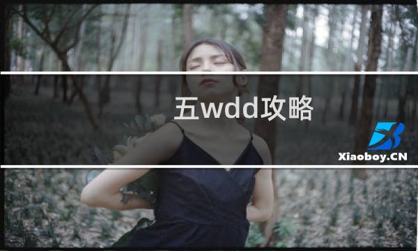 五wdd攻略