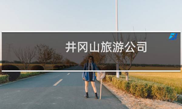 井冈山旅游公司