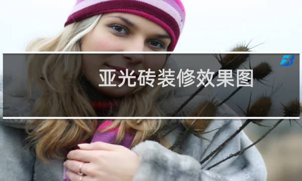 亚光砖装修效果图