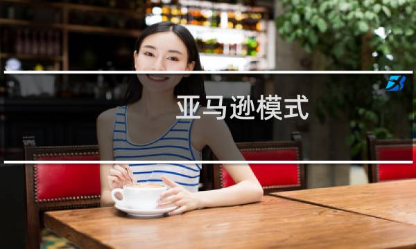 亚马逊模式(b2b b2c)