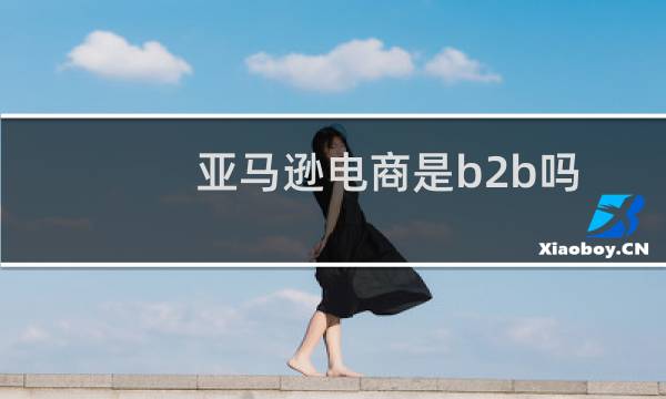 亚马逊电商是b2b吗