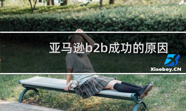 亚马逊b2b成功的原因