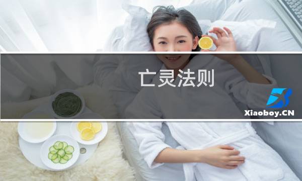 亡灵法则 攻略
