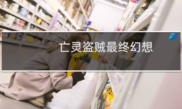 亡灵盗贼最终幻想