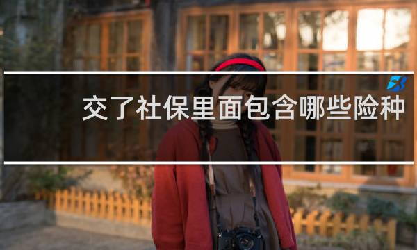 交了社保里面包含哪些险种