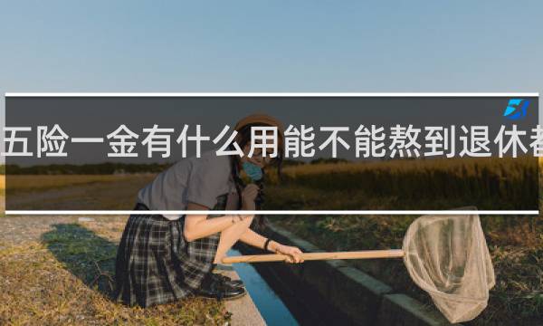 交五险一金有什么用能不能熬到退休都不知道