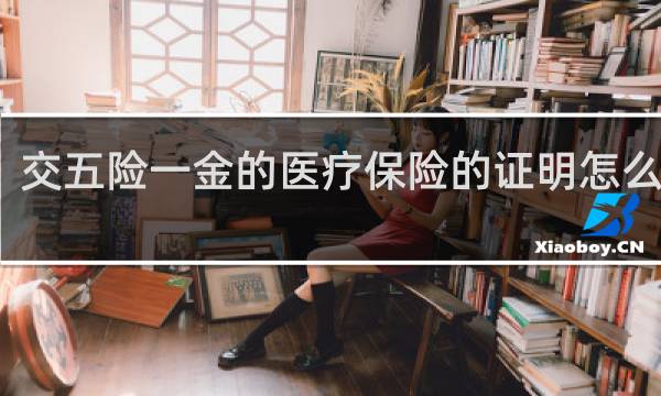 交五险一金的医疗保险的证明怎么下载