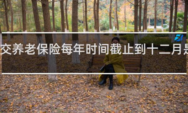 交养老保险每年时间截止到十二月是不是