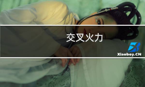 交叉火力 攻略