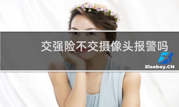 交强险不交摄像头报警吗
