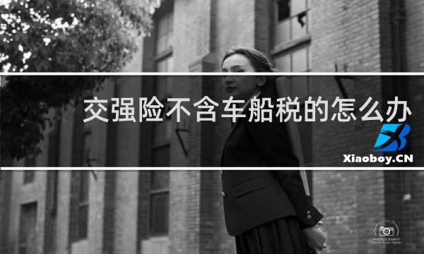 交强险不含车船税的怎么办