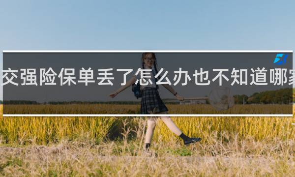 交强险保单丢了怎么办也不知道哪家公司