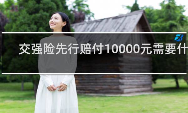 交强险先行赔付10000元需要什么