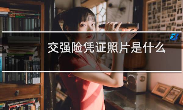 交强险凭证照片是什么