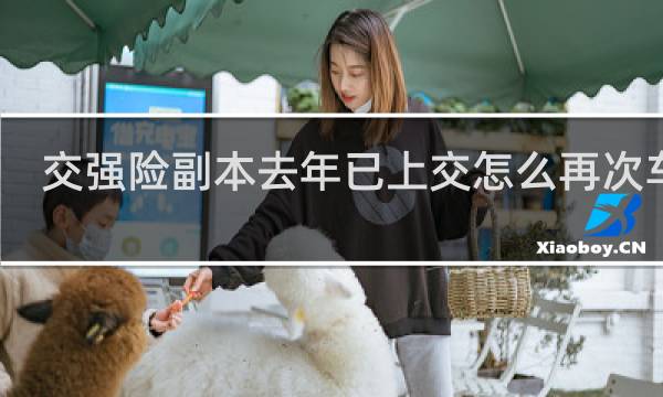 交强险副本去年已上交怎么再次车检