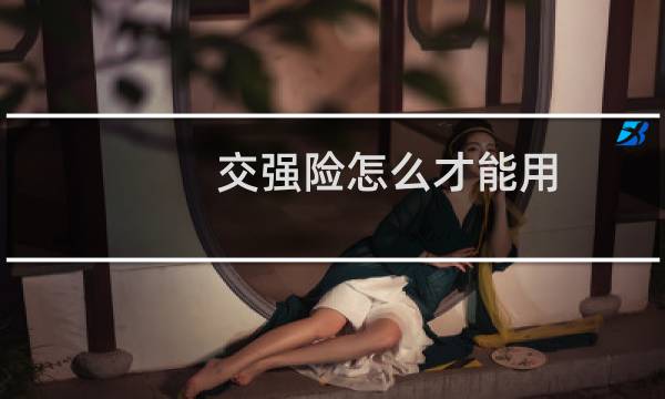 交强险怎么才能用