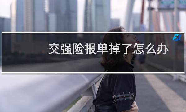 交强险报单掉了怎么办