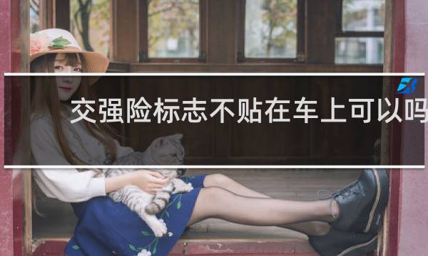 交强险标志不贴在车上可以吗