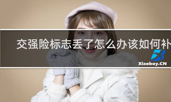 交强险标志丢了怎么办该如何补办