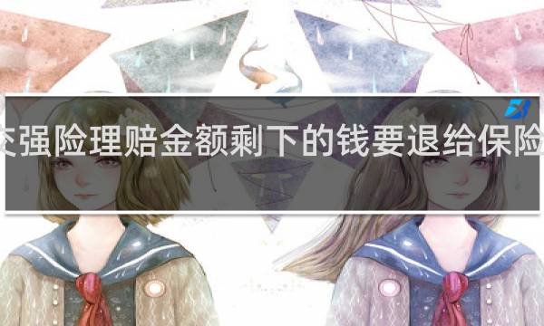 交强险理赔金额剩下的钱要退给保险公司吗