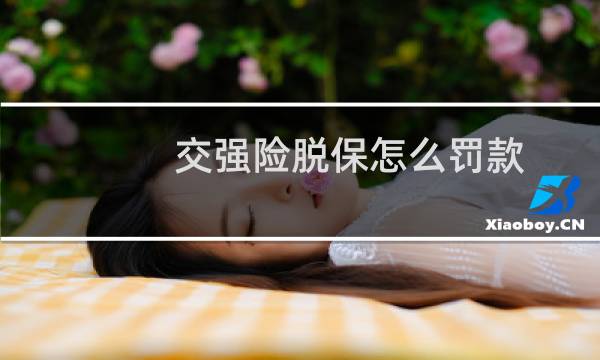 交强险脱保怎么罚款