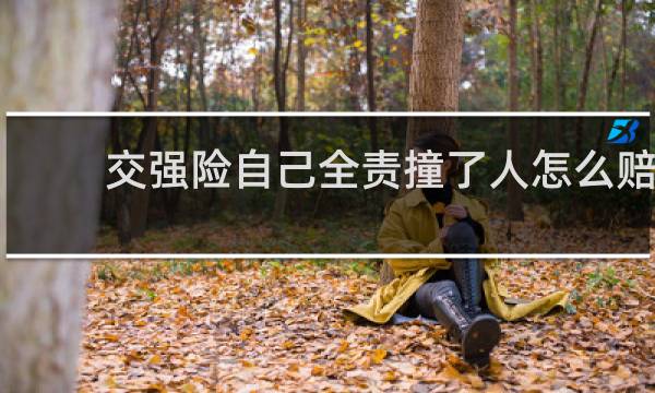 交强险自己全责撞了人怎么赔
