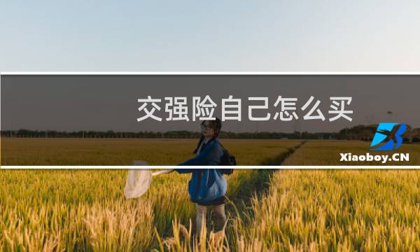 交强险自己怎么买