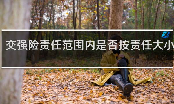 交强险责任范围内是否按责任大小赔付