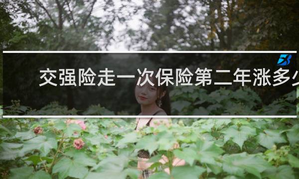 交强险走一次保险第二年涨多少