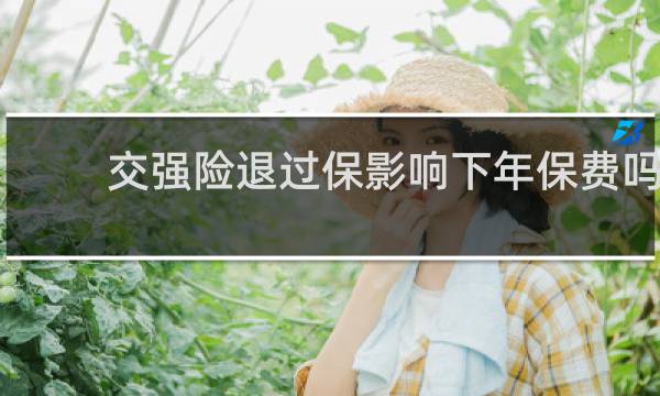 交强险退过保影响下年保费吗
