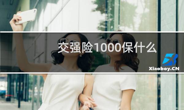 交强险1000保什么