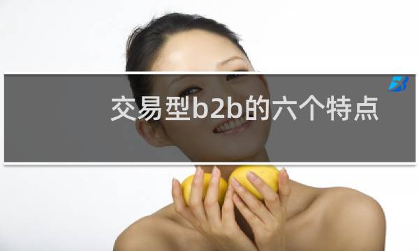 交易型b2b的六个特点