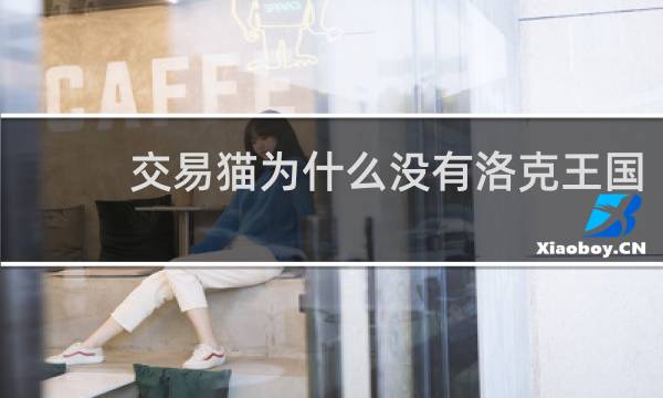 交易猫为什么没有洛克王国