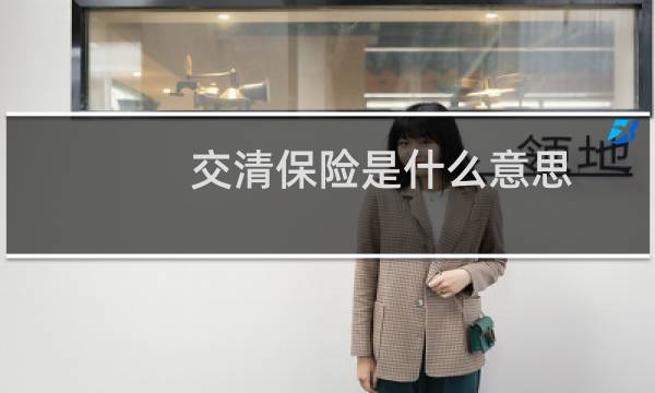 交清保险是什么意思