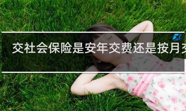 交社会保险是安年交费还是按月交吗