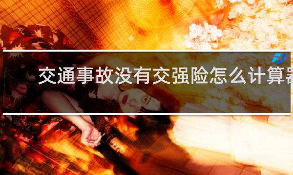 交通事故没有交强险怎么计算器