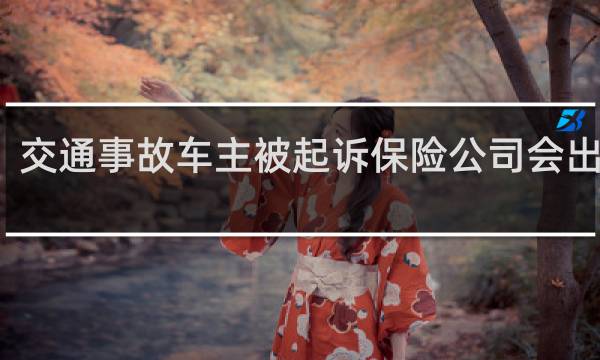 交通事故车主被起诉保险公司会出面吗