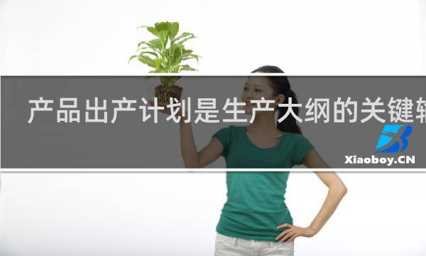 产品出产计划是生产大纲的关键输入