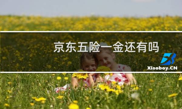 京东五险一金还有吗