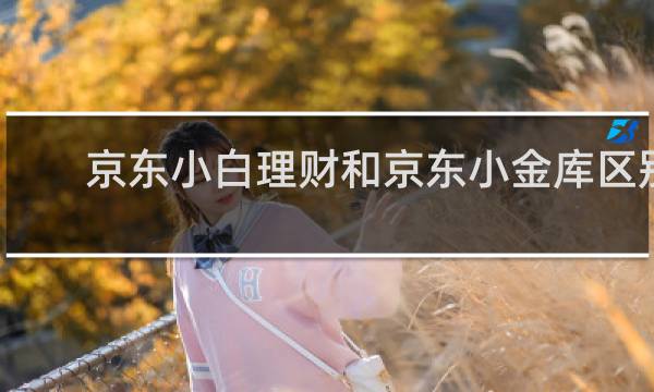 京东小白理财和京东小金库区别