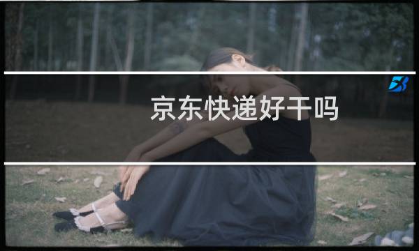 京东快递好干吗