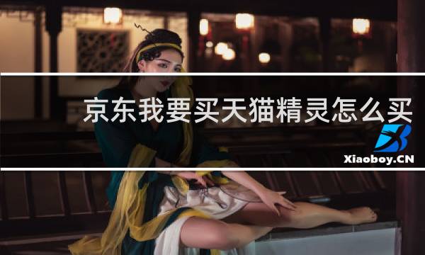 京东我要买天猫精灵怎么买