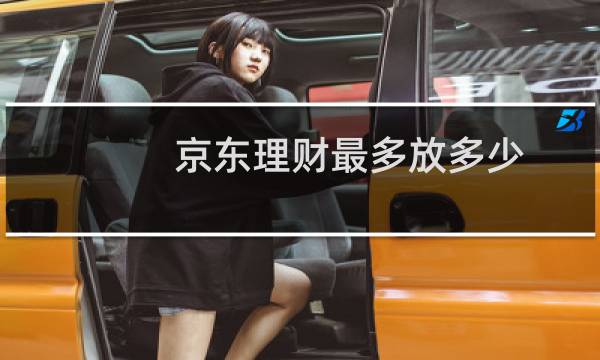 京东理财最多放多少