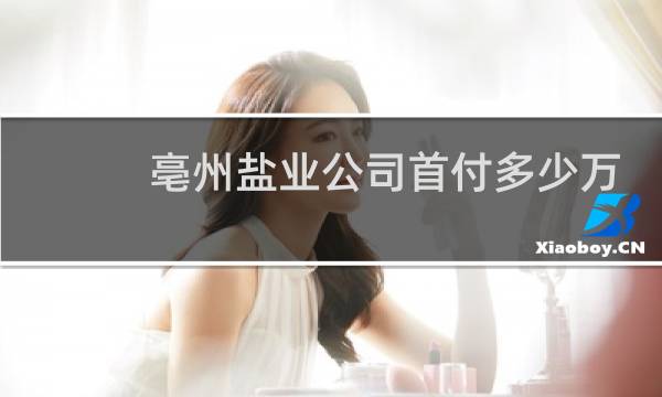 亳州盐业公司首付多少万