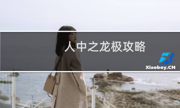 人中之龙极攻略