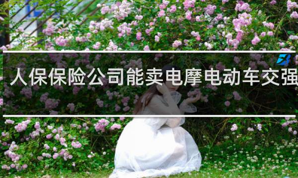 人保保险公司能卖电摩电动车交强险吗