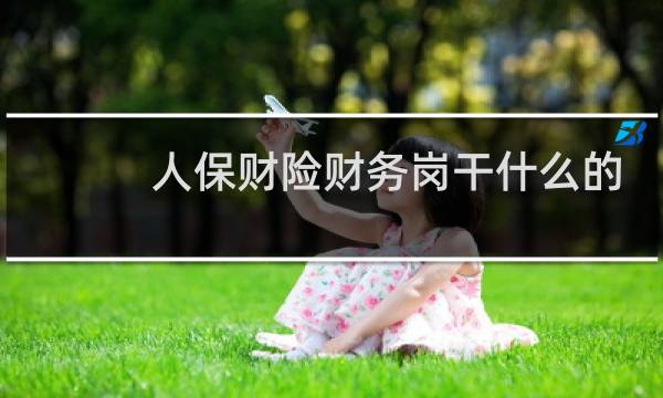 人保财险财务岗干什么的